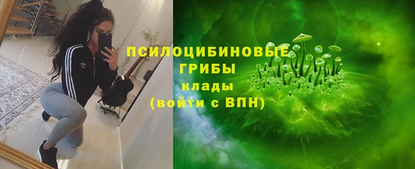 бошки Алексин