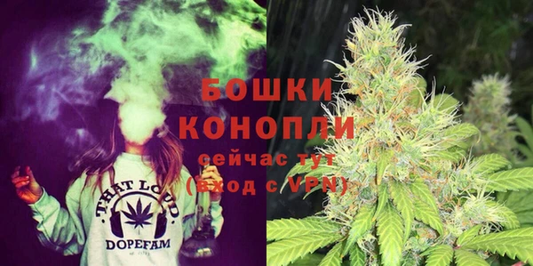 бошки Алексин