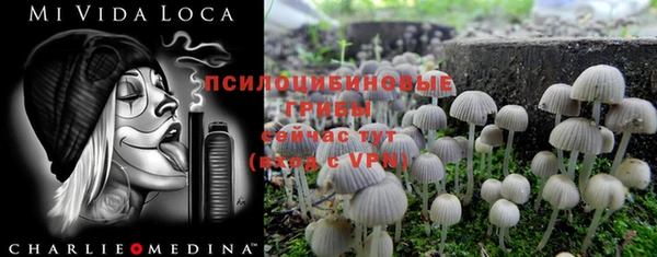 бошки Алексин