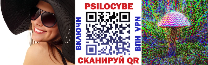 Псилоцибиновые грибы мицелий  Новая Ладога 